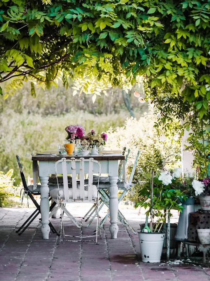 Le Molina B&B Massa e Cozzile