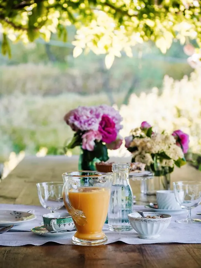 Bed & Breakfast Le Molina B&B Massa e Cozzile